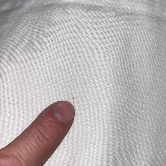 Faded Glory missy size 8 Cream skort with brown embroidered flowers. - Picture 11 of 11